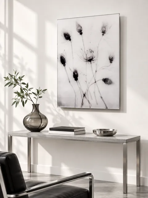 黑白植物影像 · 空间陈列 · 场景展示示意