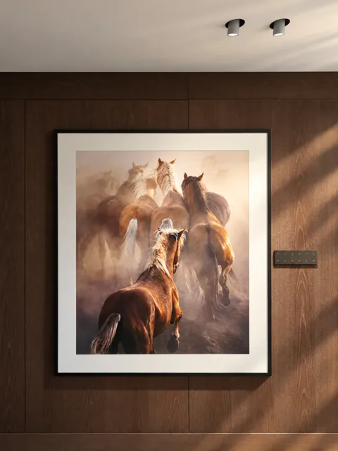 奔马影像 · 近景陈列 · 完整作品 · 展示示意